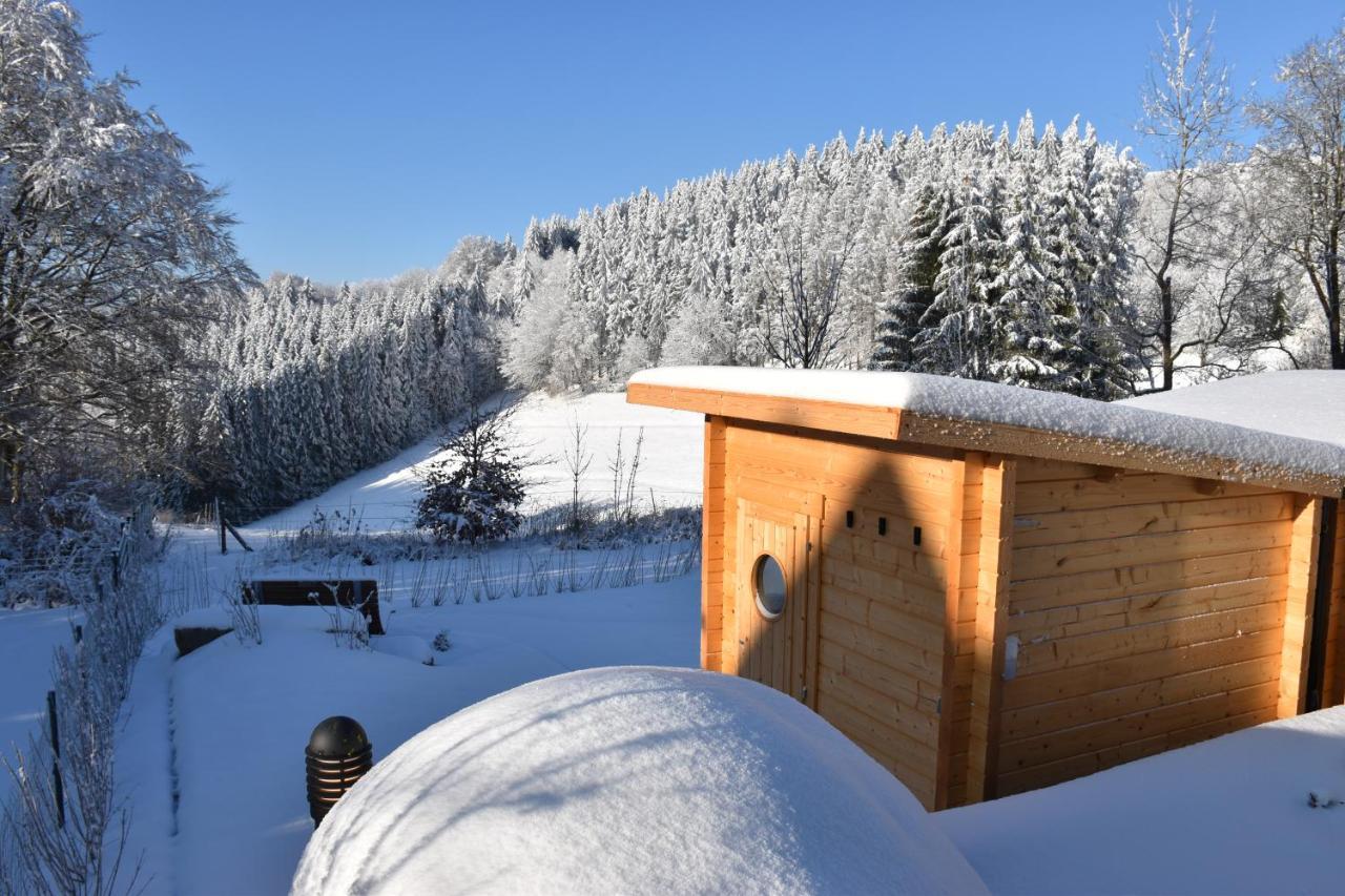 Asten-Chalets Винтерберг Экстерьер фото